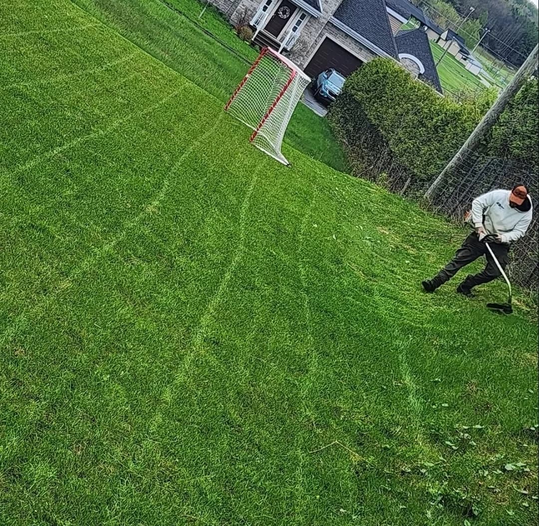 Pelouse fraîchement tondue avec bandes de coupe visibles, un employé de BW passe la coupe-bordure en bordure du terrain